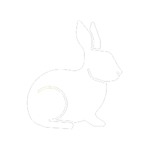 Logo White Rabbit